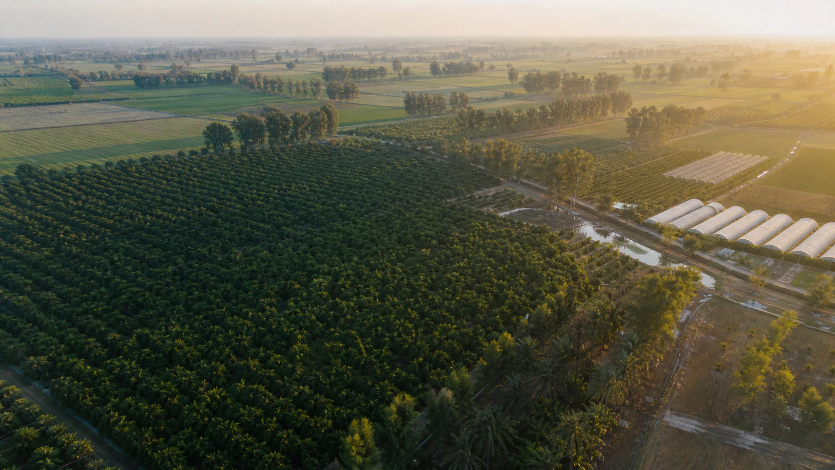 Atmospheric aerial representation of diversified agriculture in Punjab